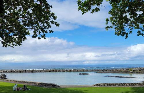 Yonegan Plumeria Hilo Hotel - Foto 10