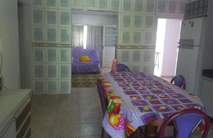 Flor da Primavera - Foto 17