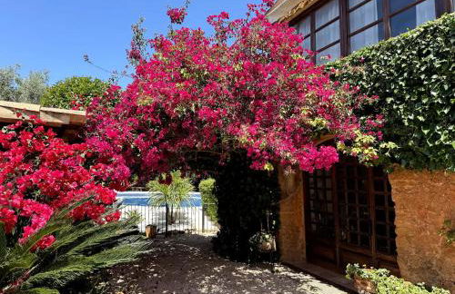 Chalet Las Canas - Foto 6