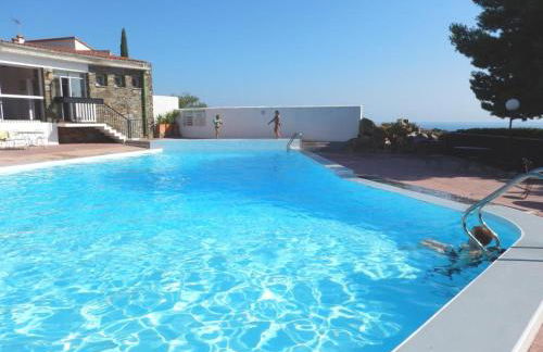 Les mimosas - Foto 21