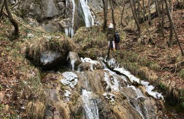 Kuća za odmor Koprivnjak - Foto 26