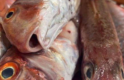 The House 1838 - Foto 39