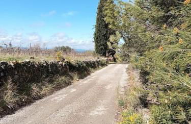 La garenne basse chez Sylvie - Foto 16