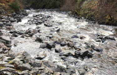 Treetops Bungalow Loch Ness - Foto 39