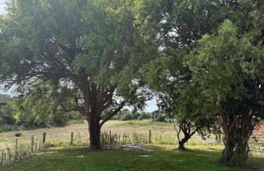 Staple Cross Cottage - Foto 38