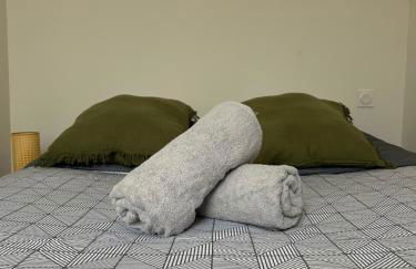 Le Toulousain 101 - Appartement Calme en Hypercentre - Quartier Jeanne d'Arc - Foto 7