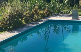 Sítio Luz das Estrelas - Foto 10