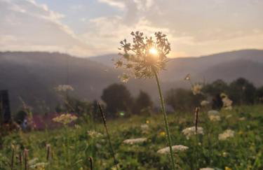 Chata Szwastówka - Twoja przystań u podnóża Góry Cergowa - Foto 22
