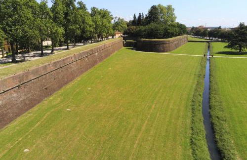 Casolare L'Antico Olivo - Foto 37