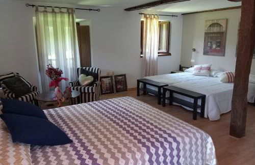 Las Gallinas de María - Foto 5