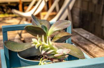 Bungalow B1 em Fão - Ofir by Ana Ferro Rentals - Photo 8