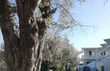 Panoramico, in villa, grande, con ampie terrazze - Foto 72