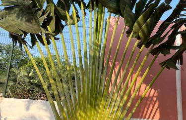 House with private pool in Condominium in São Cristóvao RN - Foto 43