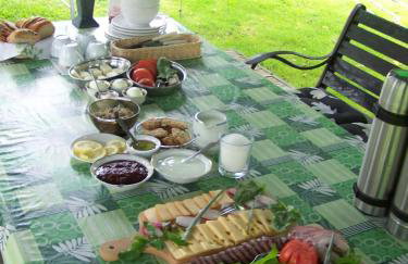 Agroturystyka W Jabłoniowym Sadzie - Foto 32