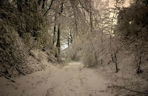 Ferienwohnung Talblick - Photo 26