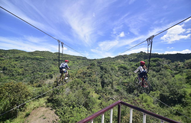 Cebu Safari and Adventure Park - Foto 15