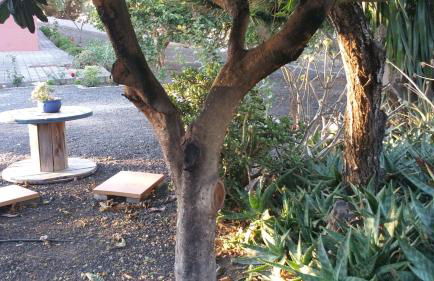 Casa el Porte - Foto 49