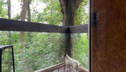 3 Guests - Pet Friendly - Grid Tree-House - Foto 5