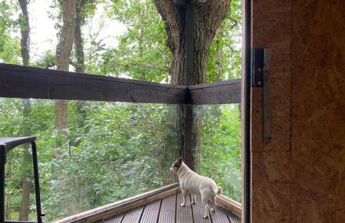 3 Guests - Pet Friendly - Grid Tree-House - Foto 5