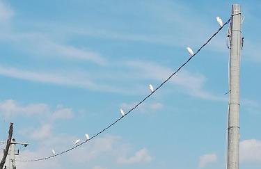 Le Grotte di Sileno - Foto 33