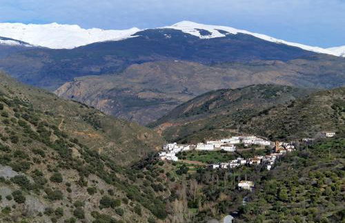 The Retreat, Alcazar - Foto 40