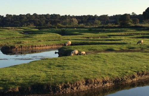 Un studio indépendant avec jardin - Foto 15