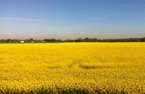 Ferienwohnung Pöttershof - Foto 23