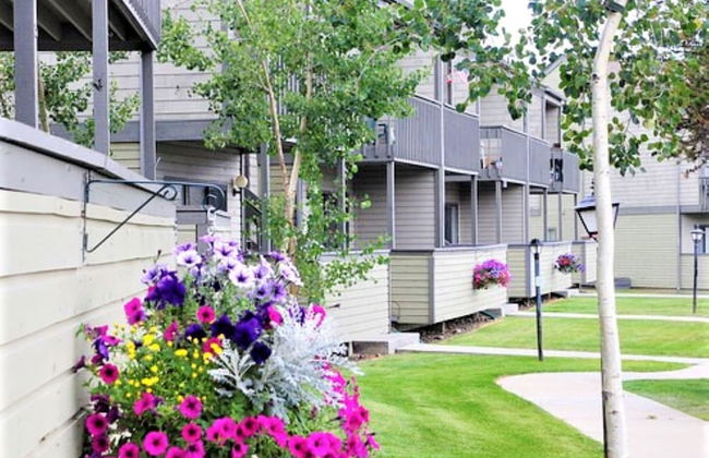 Pines at Meadow Ridge - Photo 20