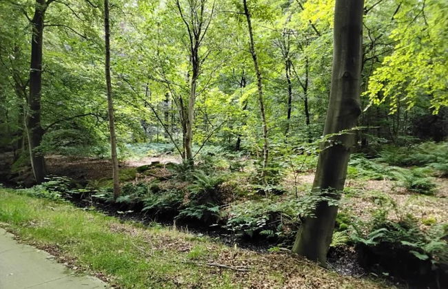 Spacious Home with Garden near Langweerder Wielen - Foto 33