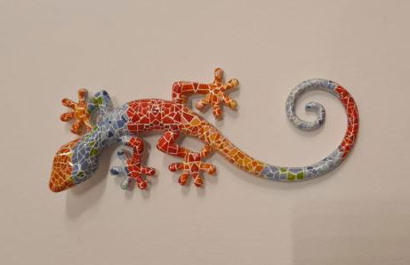 The Salamadras - Photo 1