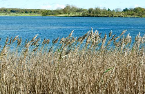 Landhaus Markerup - großzügig mit Kamin, Sauna & Spielhaus - Foto 51