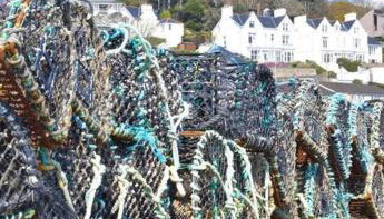 Isfryn, holiday home in Aberdyfi - Foto 2