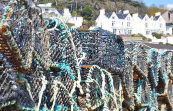 Isfryn, holiday home in Aberdyfi - Foto 2