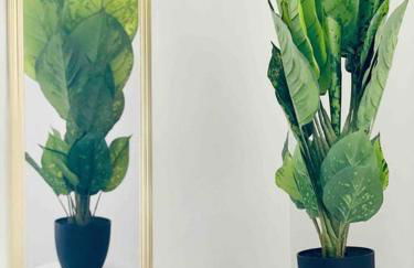 Leaning House of Haynie - Foto 12