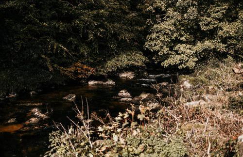 Fox Tor Apartment - Foto 20