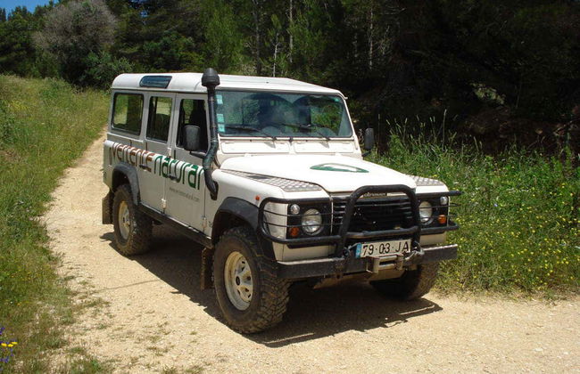 Balade en 4x4 à Arrábida et au Cap Espichel - Photo 4