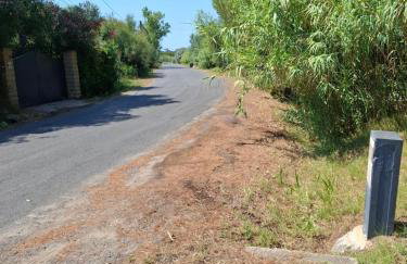 Le rivage - Photo 16