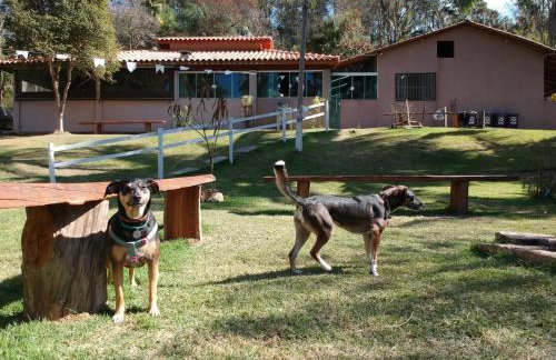 Recanto dos Passaros - Foto 37