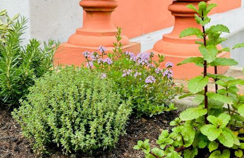 Villa Brecht - Photo 39