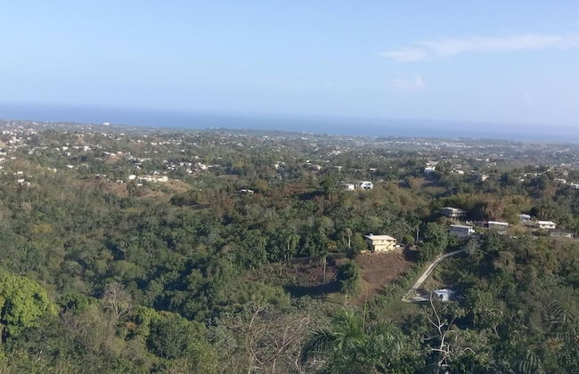 Aguada Farm & Eco-Lodge - Photo 3