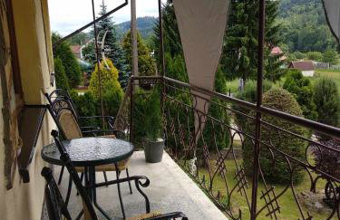 Dom z ogrodem w malowniczej okolicy Bieszczady - Foto 38