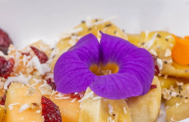 Skale peregrino ecolodge - Foto 21