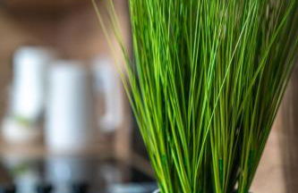 Caledonia Apartment - Photo 24