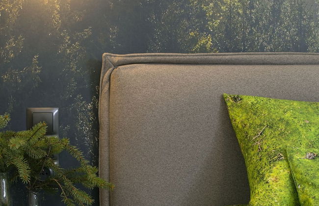 Green Deer Premium - Foto 68