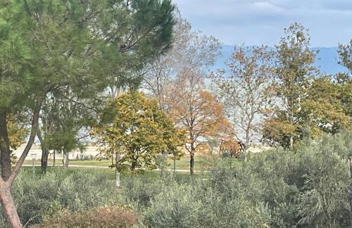 Le Margherite - Foto 16