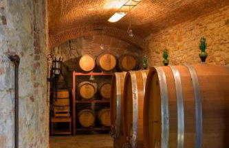 Castello di Volognano - Foto 90