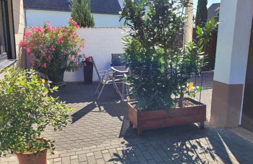 Eifelferienhaus Thome - Foto 21