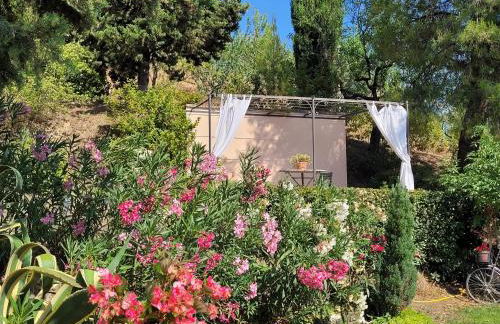 Agriturismo Fiorano - Foto 22