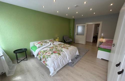 Nibelungen 4 Zimmer Apartment - Foto 9