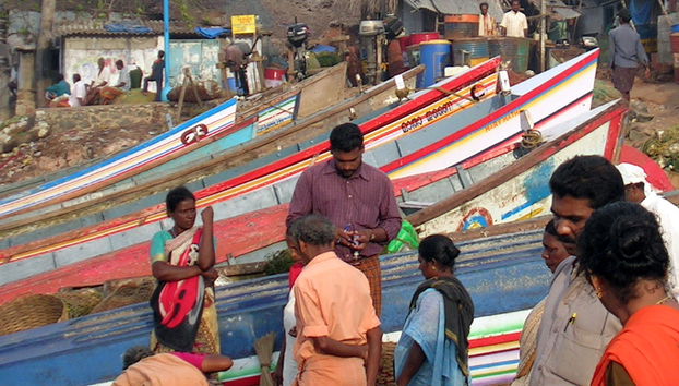 Aldeia Tradicional e Centro de Escultura de Elefantes de Madeira - Foto 4